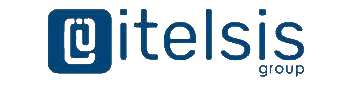 Itelsis Logo